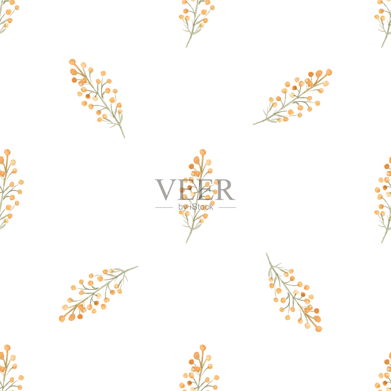 水彩含羞草枝无缝图案在白色的背景插画图片素材