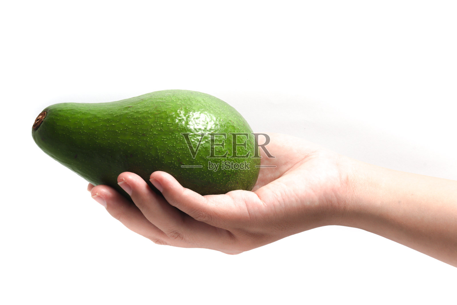 手握一个完整的新鲜有机鳄梨，美味的水果隔离在白色背景剪辑路径照片摄影图片