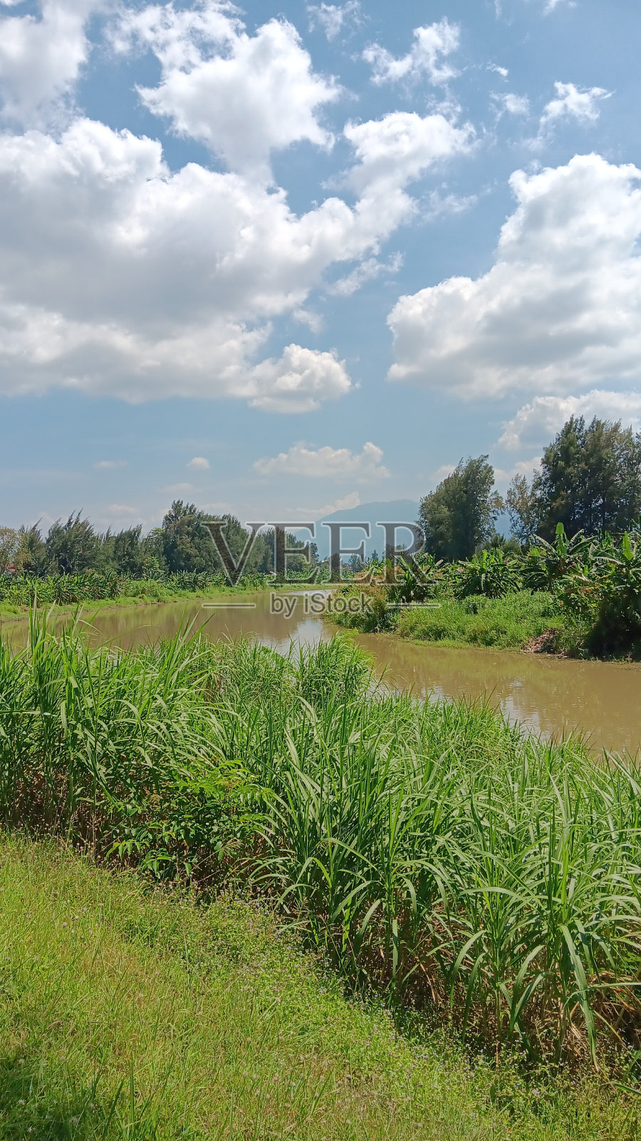 亚齐河照片摄影图片
