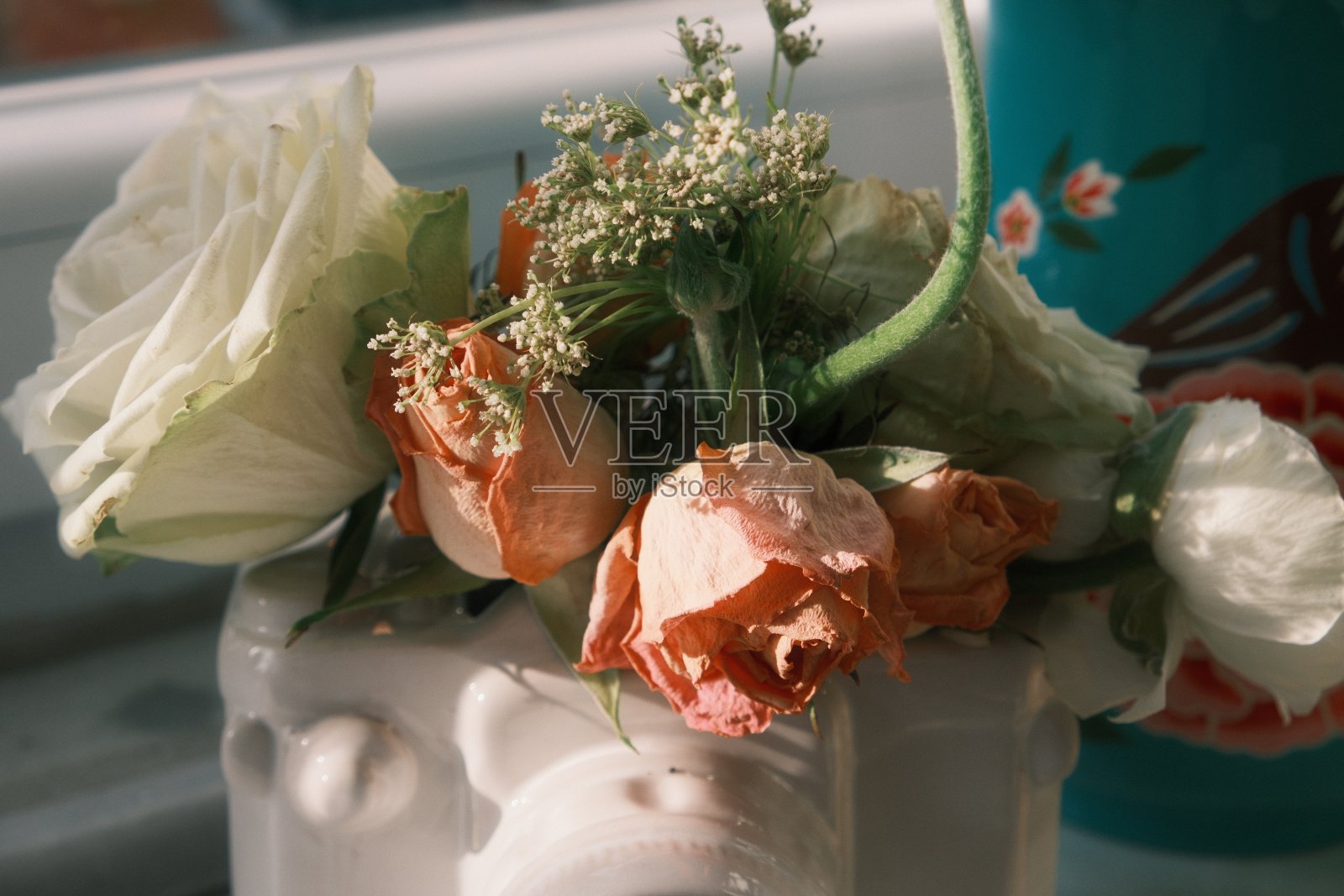 褪了色的花照片摄影图片