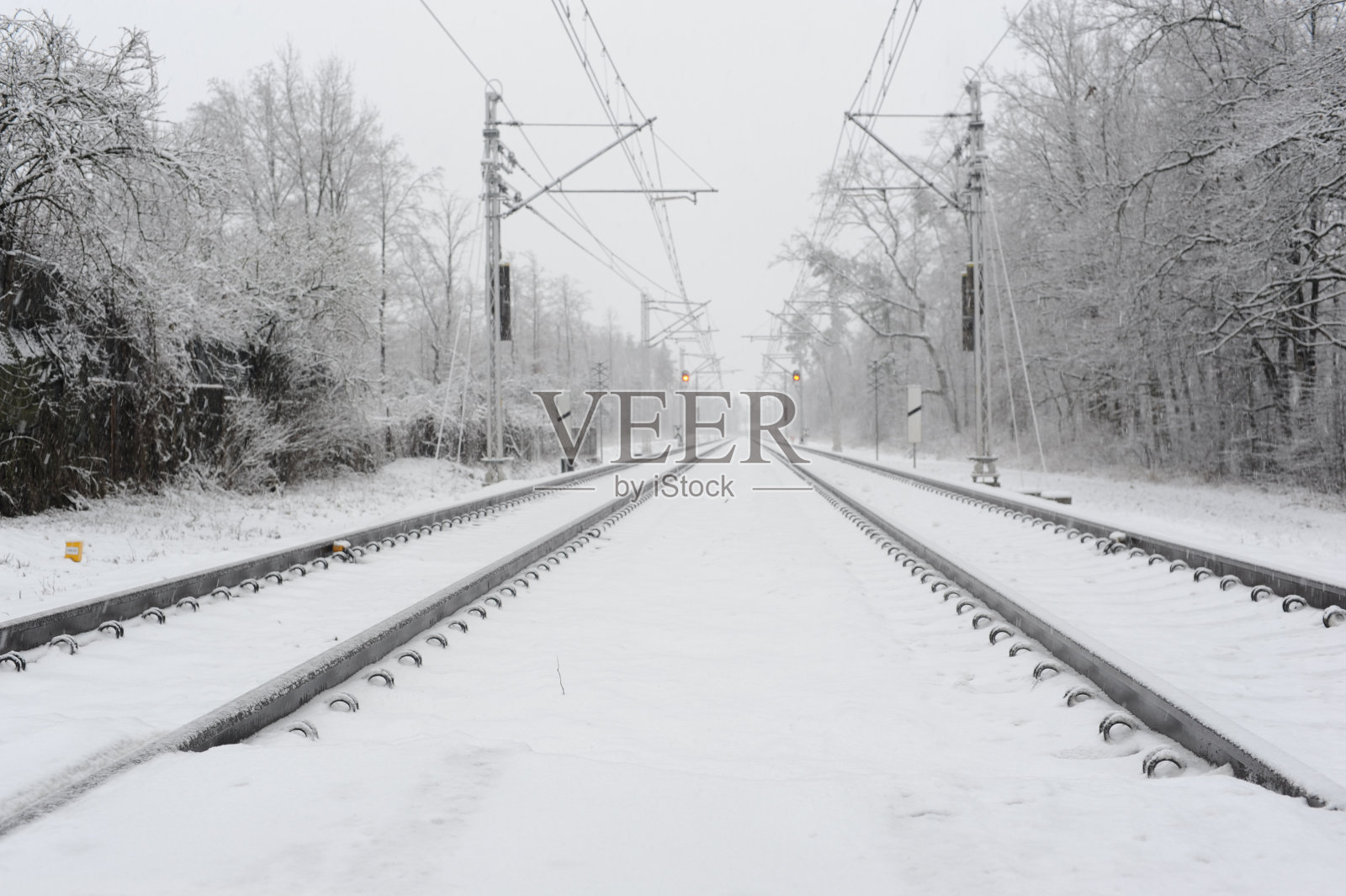冬季森林中的铁路和铁轨上有雪和树木。美丽的风景。照片摄影图片
