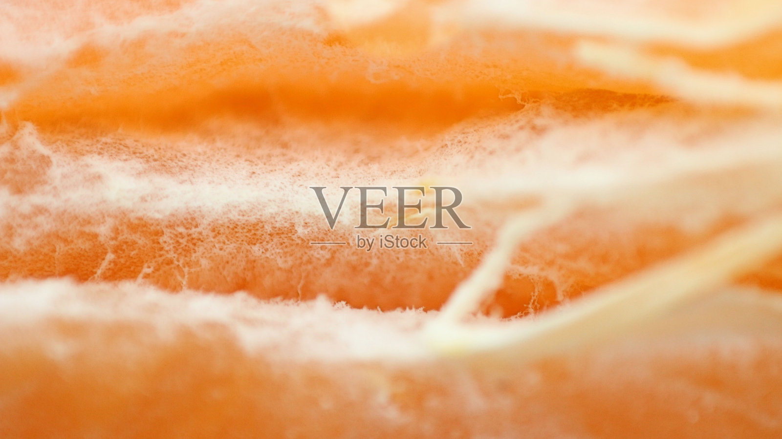 这是什么?!照片摄影图片