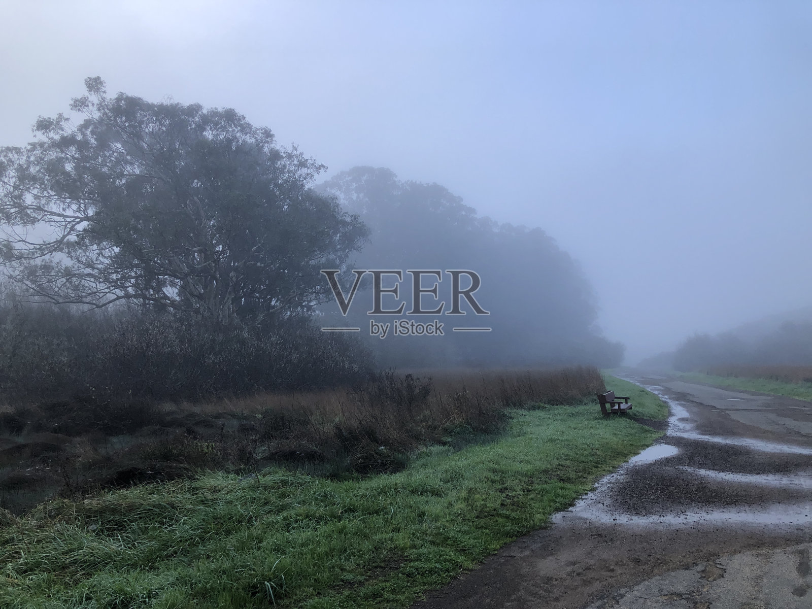 多雾的早晨照片摄影图片