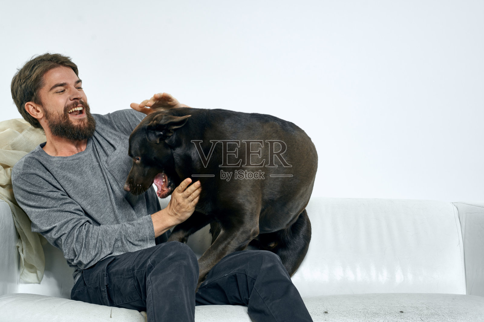 在明亮的房间里，宠物是人类的朋友照片摄影图片