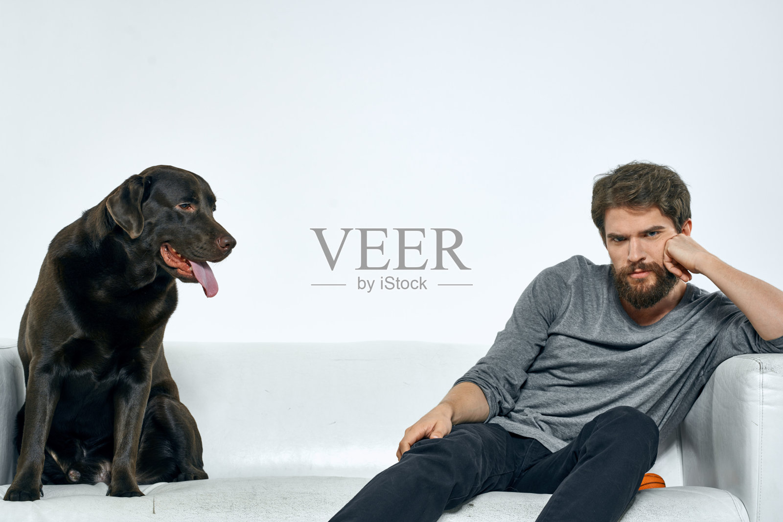 男主人带着狗狗在沙发上训练好玩的光室朋友宠物照片摄影图片