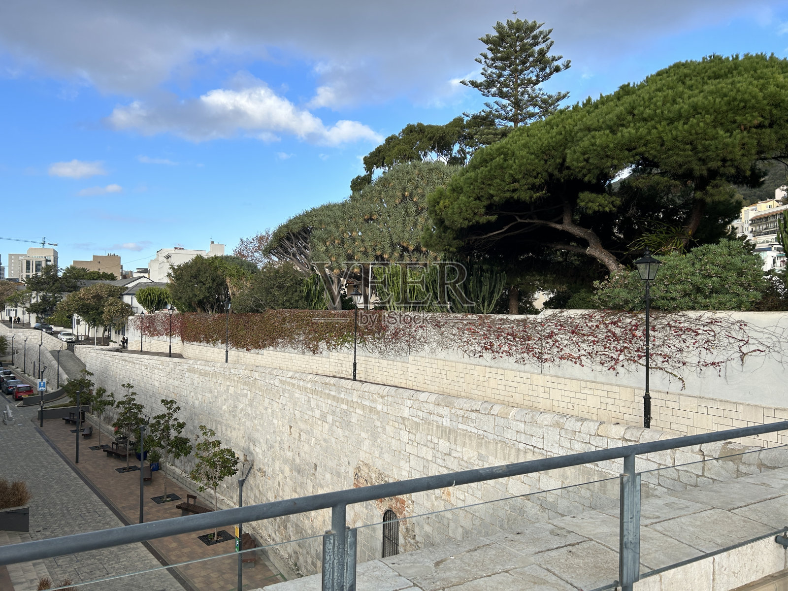 惠灵顿面前照片摄影图片