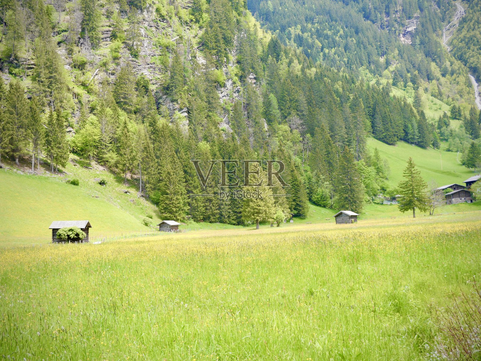 高山天堂:坐落在奥地利阿尔卑斯山的木制小屋照片摄影图片