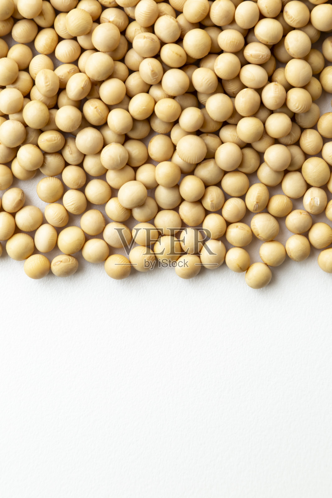 白色背景上的大豆。照片摄影图片