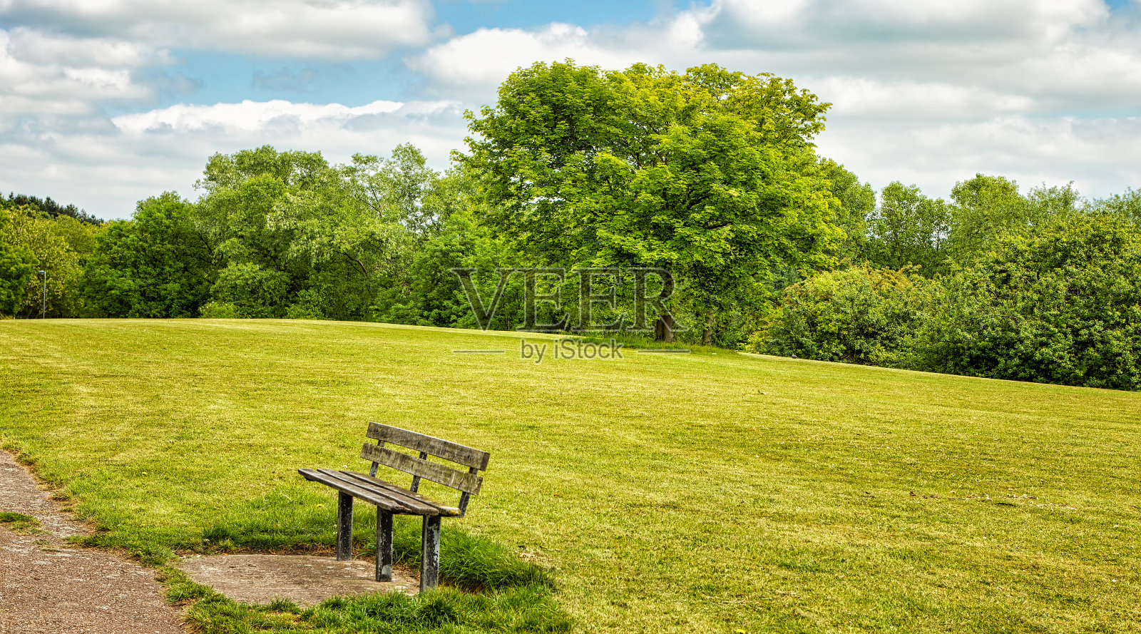 有绿地的公园照片摄影图片
