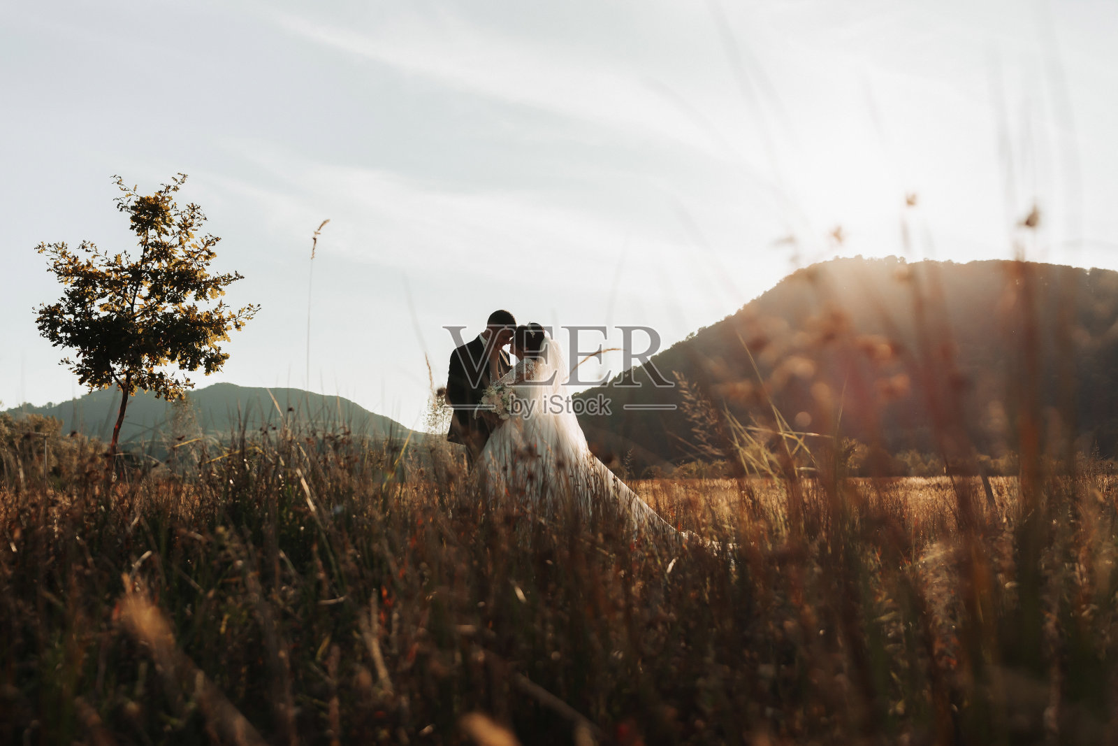 婚礼的照片。新娘和新郎站在田野里亲吻，背景是树木和大山。照片在一个轻键。一对热恋中的情侣。时尚的新郎照片摄影图片