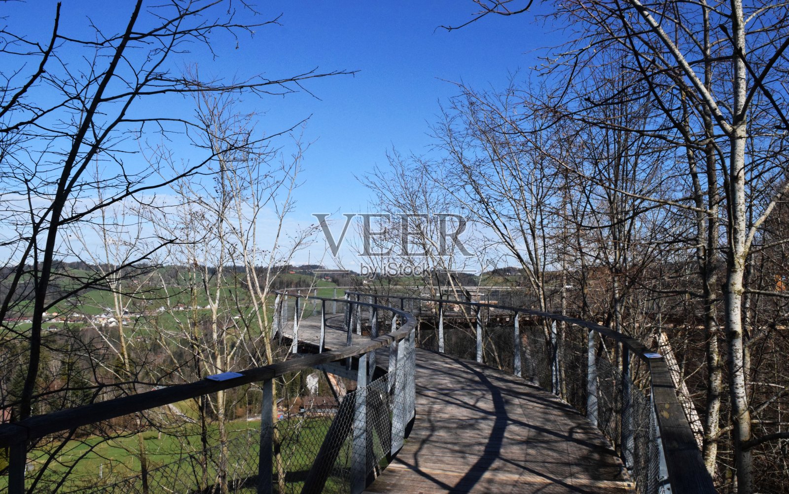 透过树林看风景照片摄影图片