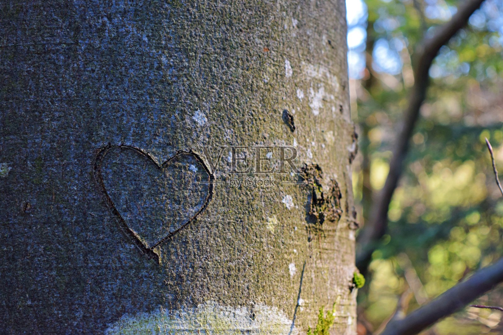 大自然的爱照片摄影图片