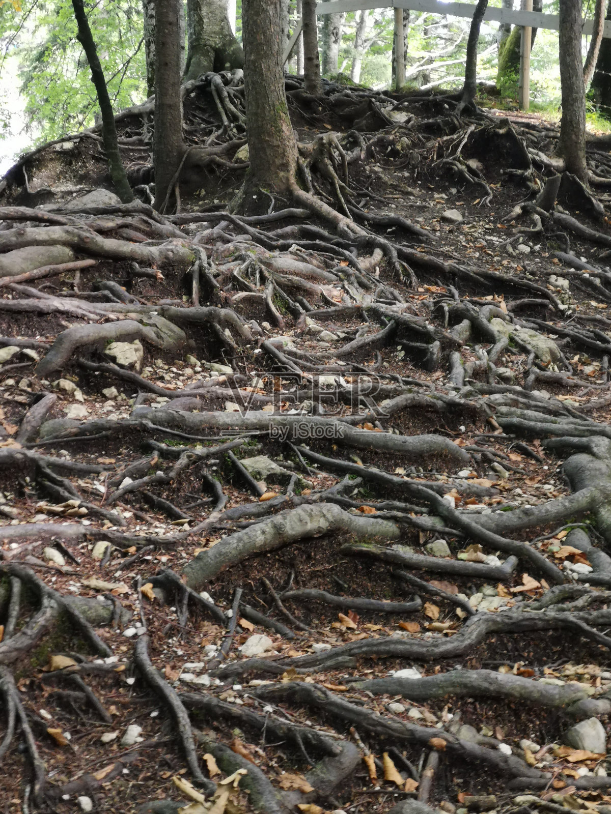 德国的地方照片摄影图片