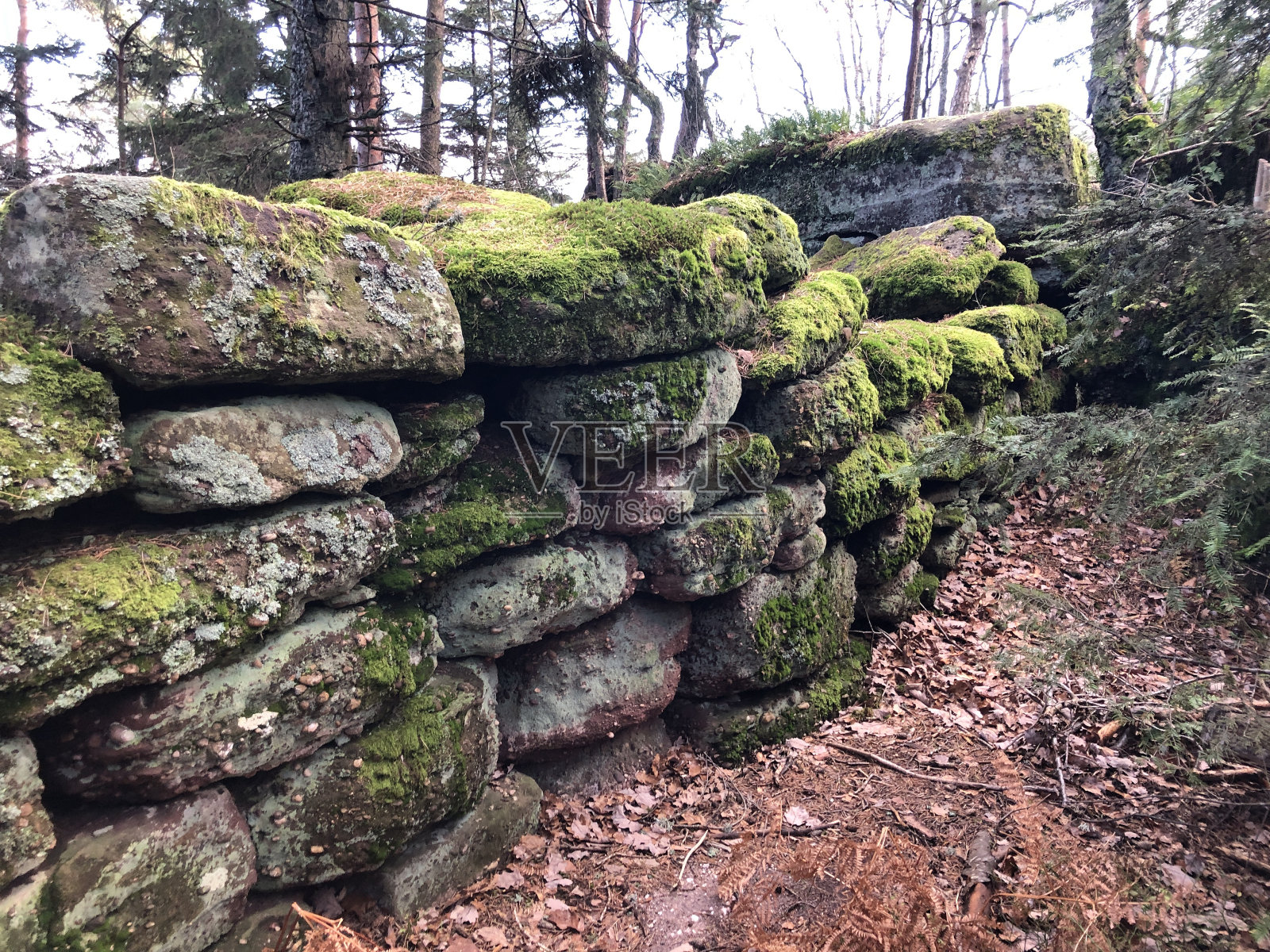 在法国阿尔萨斯，一堵通往森林的石墙照片摄影图片
