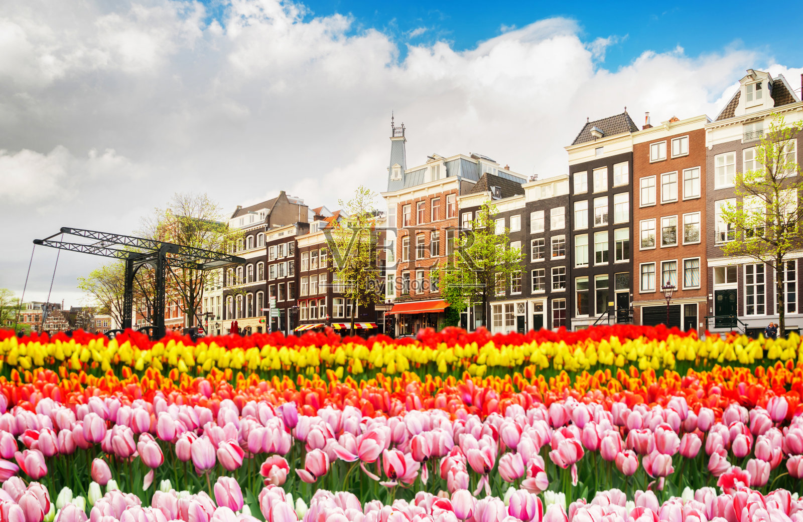 荷兰阿姆斯特丹的房屋照片摄影图片