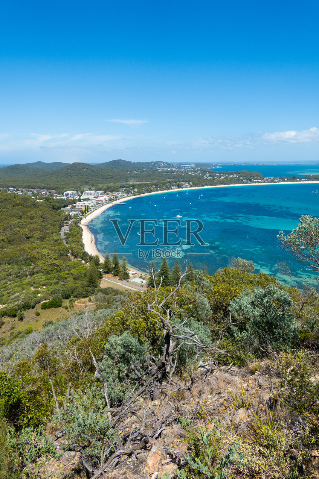 从托马里山顶欣赏纳尔逊湾的壮丽景色照片摄影图片