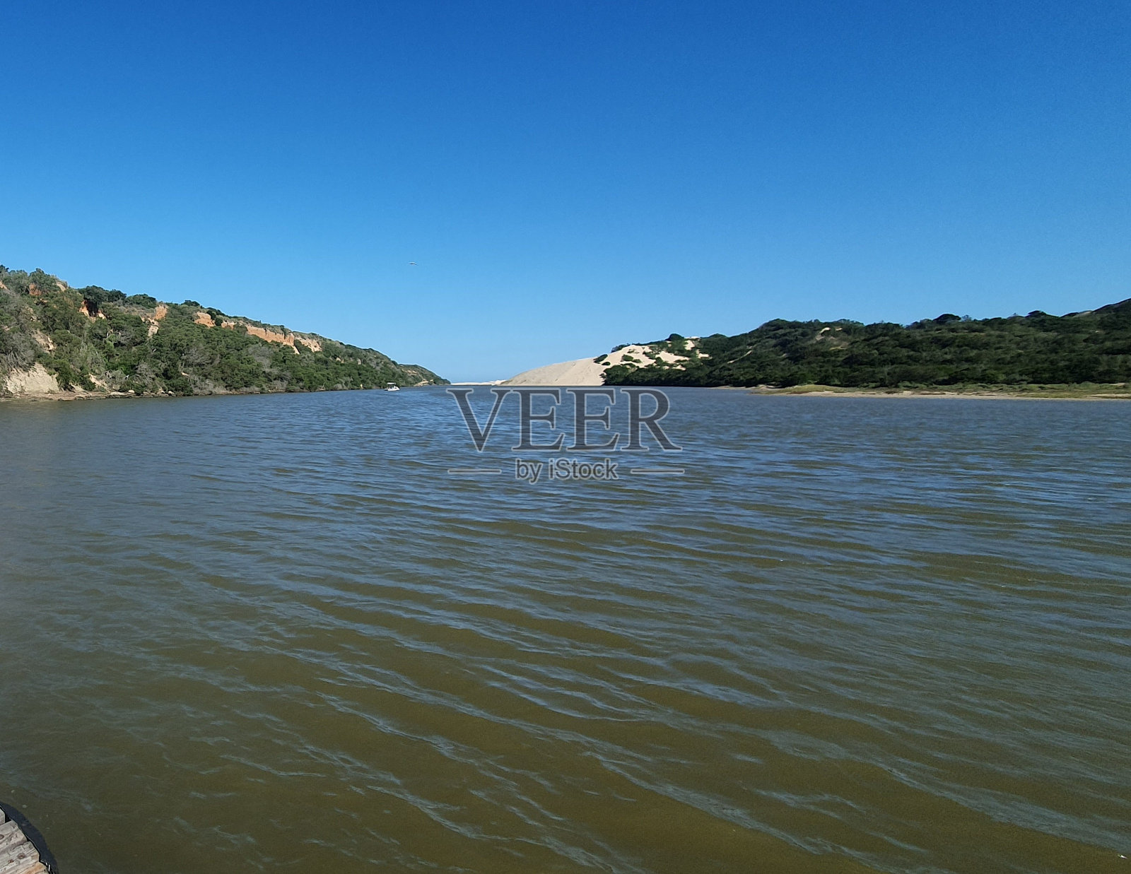 来自海洋照片摄影图片