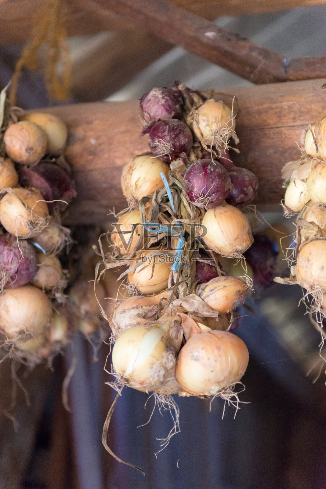 把洋葱辫子挂在农场里储存。谷仓的天花板上挂着一串串洋葱。照片摄影图片