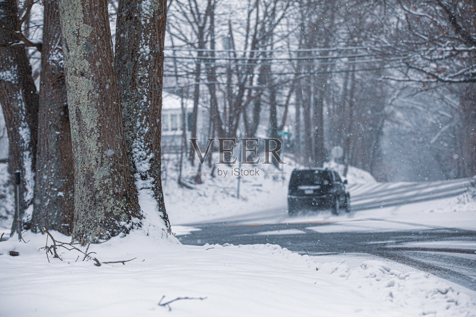 凌乱的雪天照片摄影图片