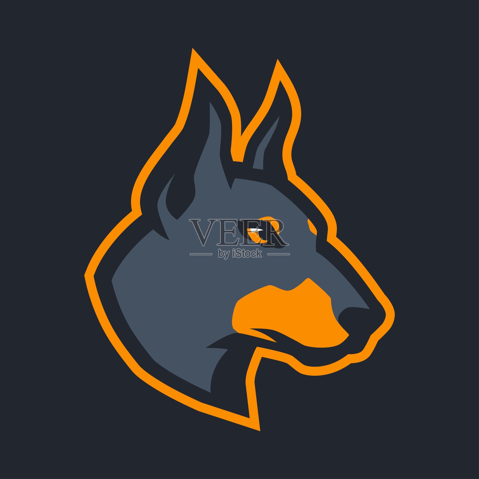 杜宾犬头部矢量插图插画图片素材