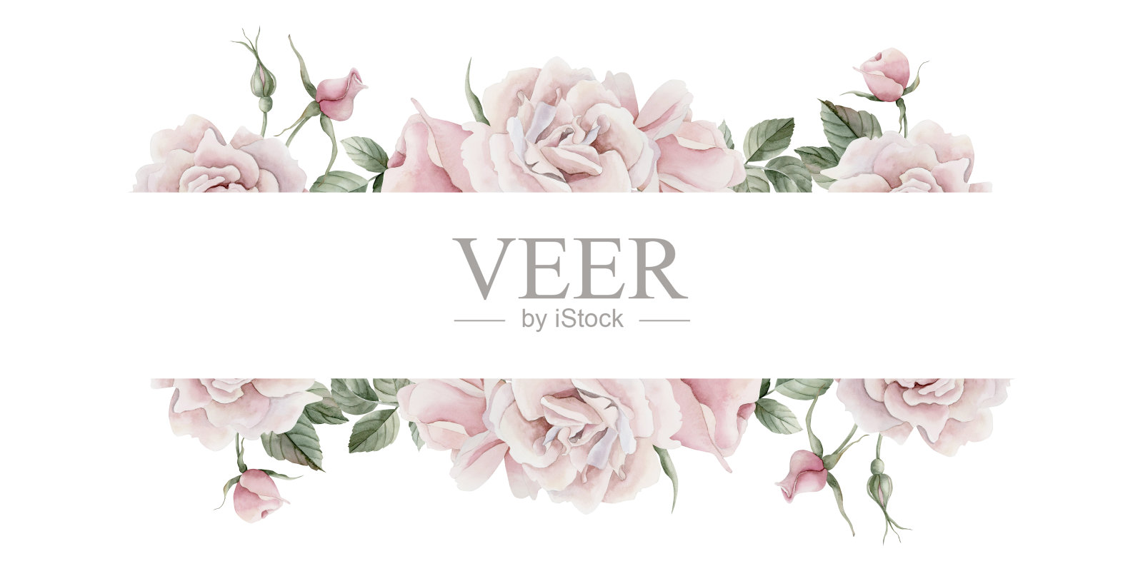 粉红色玫瑰臀花，花蕾和叶子的水平框架，维多利亚风格的玫瑰。花卉水彩插画插画图片素材