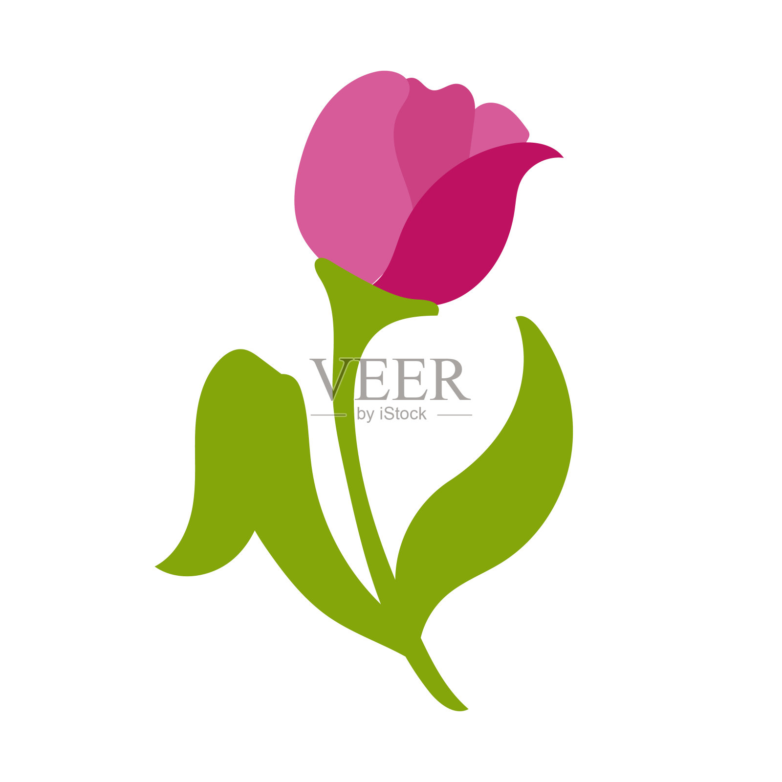 郁金香矢量花插图。初春花开。白色背景上的简单插图。插画图片素材