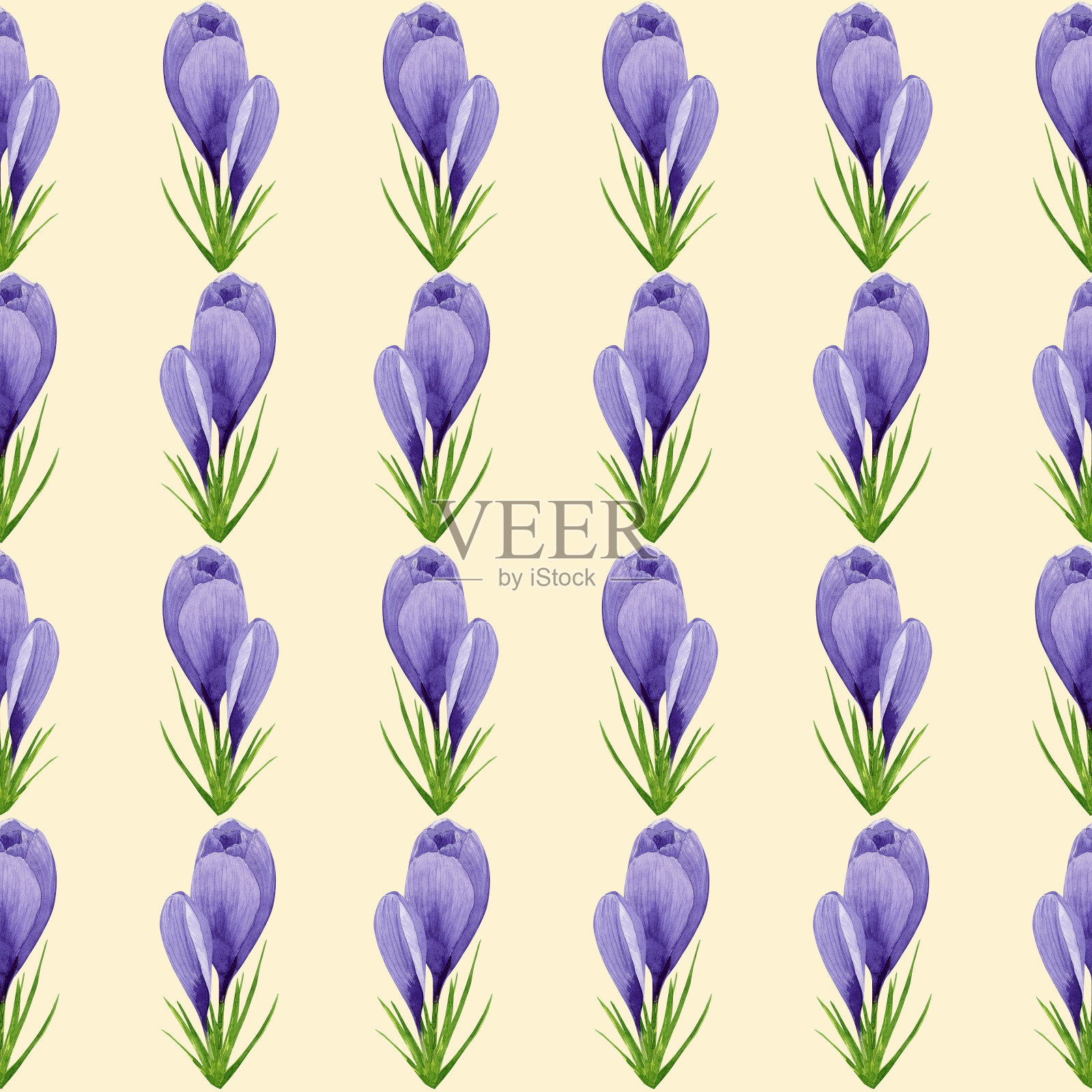 水彩紫色番红花无缝图案，春花数码纸上的黄色背景。手绘花卉插图。用于纺织品设计、包装、包装纸、墙纸、剪贴簿等。插画图片素材