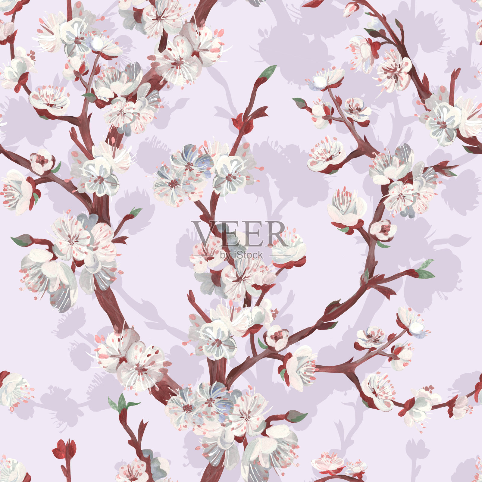 植物无缝图案樱花樱花枝画在水粉画插画图片素材