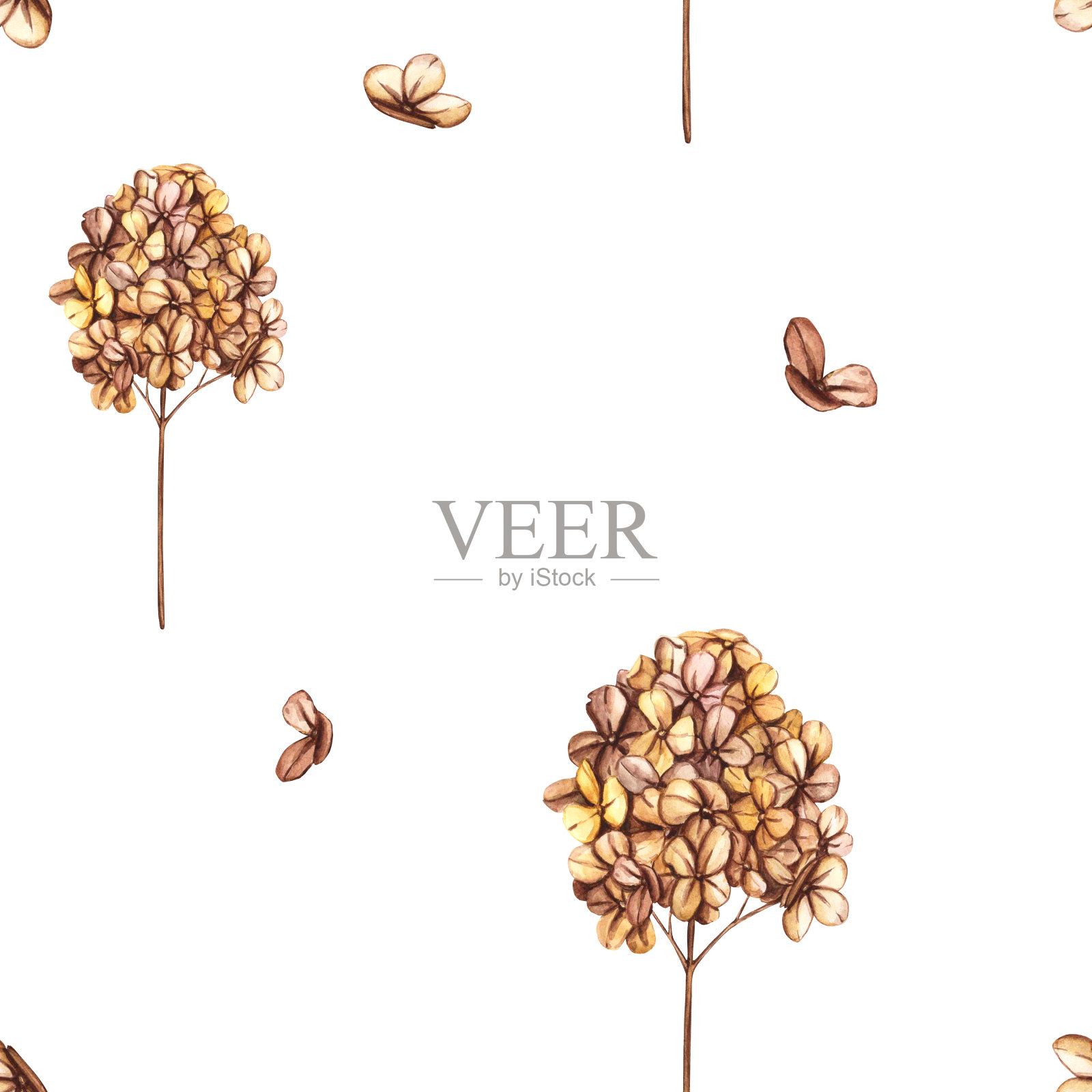 无缝图案与干绣球枝，花和野生干草。复古墙纸在波西米亚风格与草药和野花。花卉花园元素插画图片素材