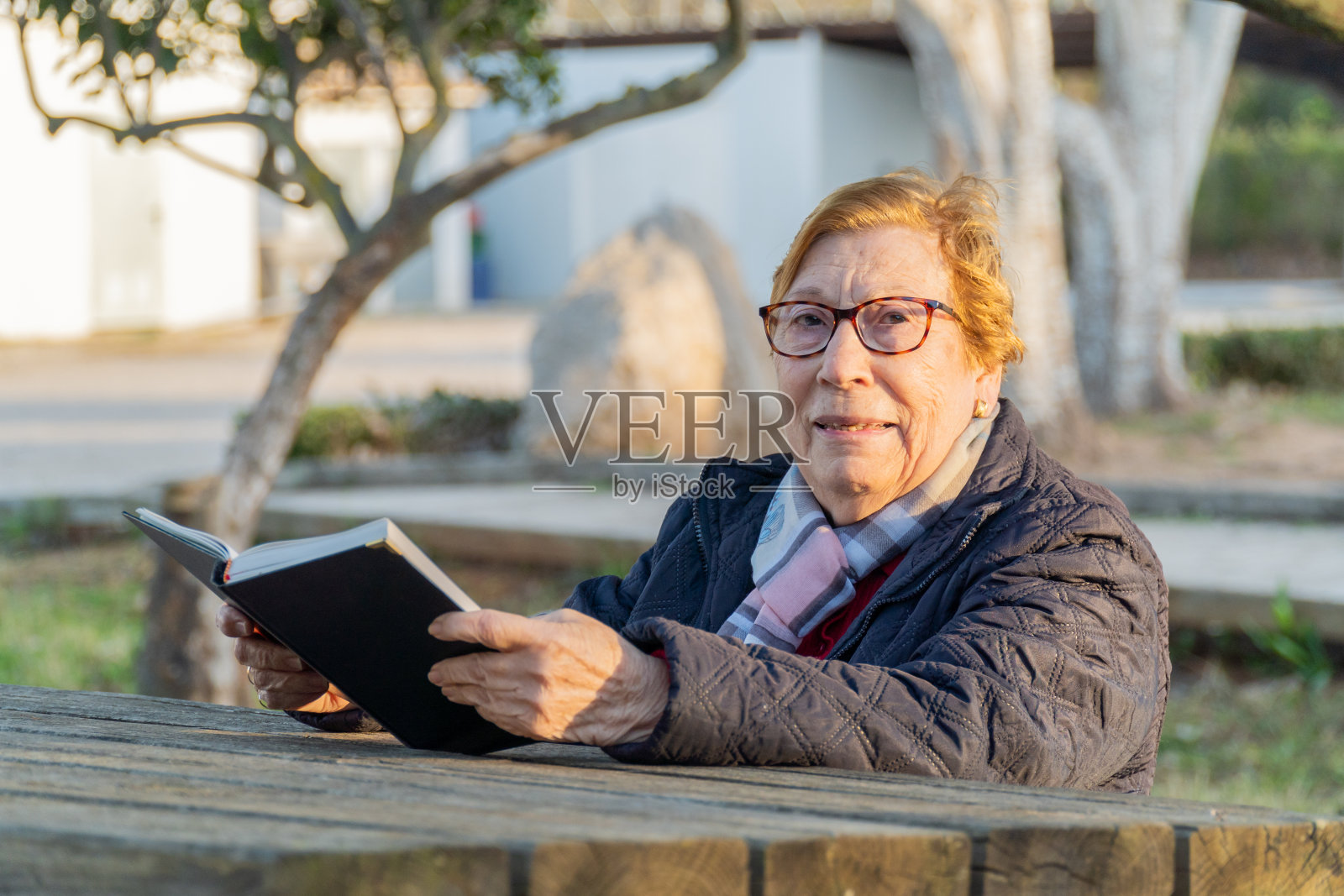 日落时分在公园看书的老妇人照片摄影图片