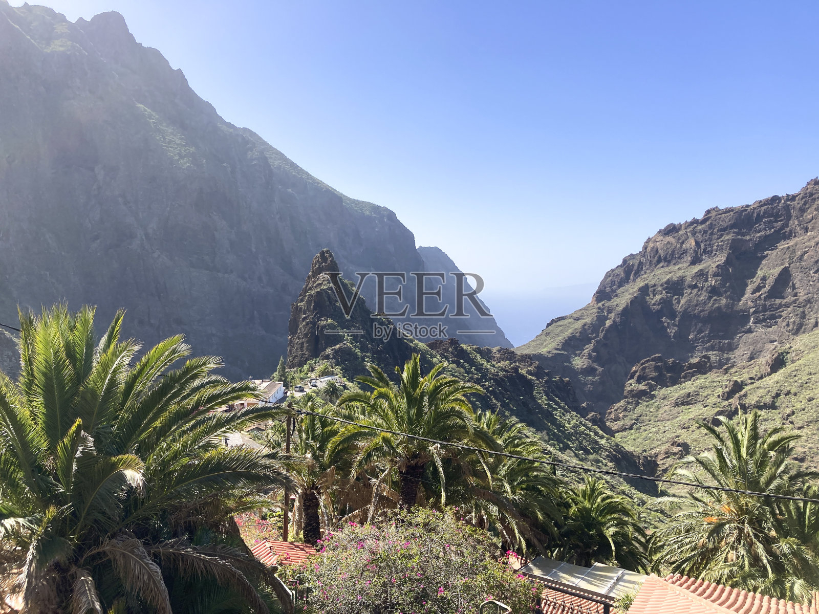 特内里费岛马斯卡村周围的美景。绿色的热带山脉和棕榈树照片摄影图片