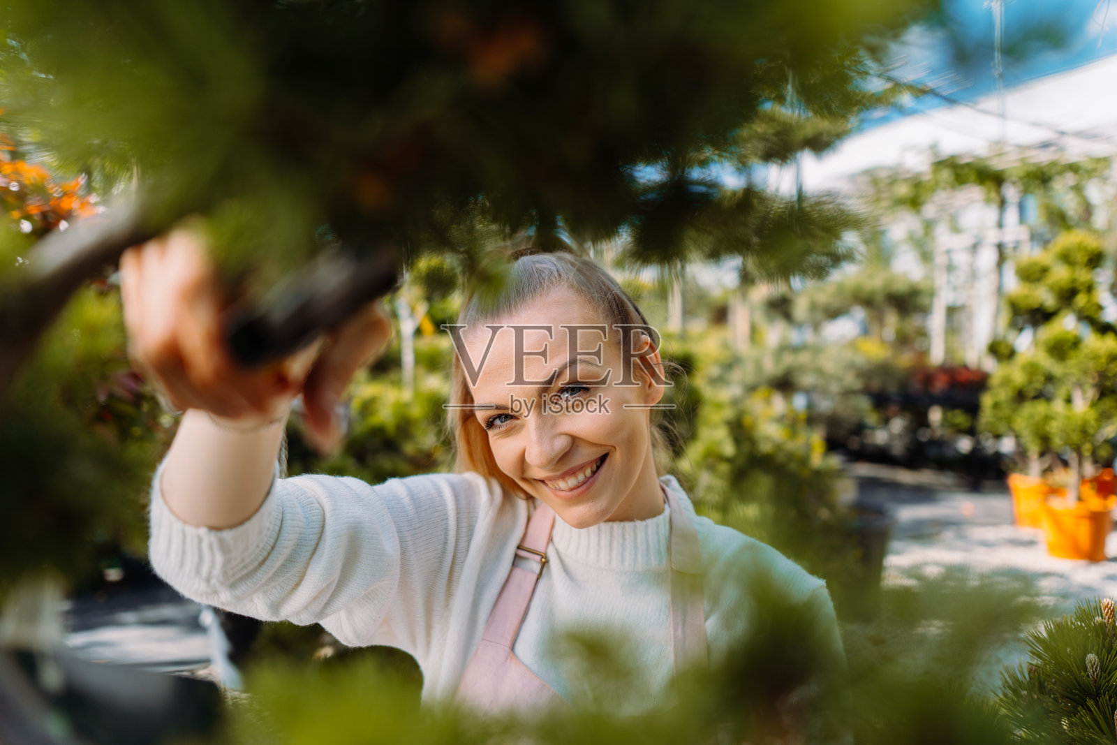 穿着围裙照顾植物的女园丁。从植物的角度来看照片摄影图片
