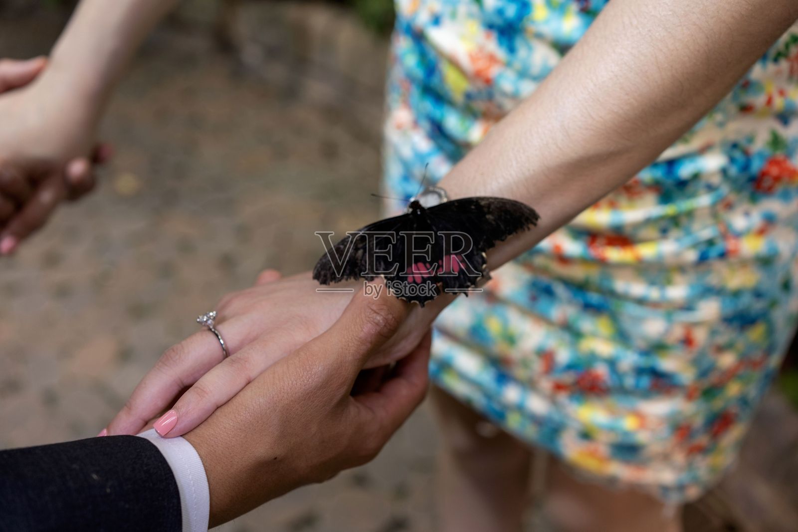 一个人的手上有一只蝴蝶，另一个人牵着另一只手照片摄影图片