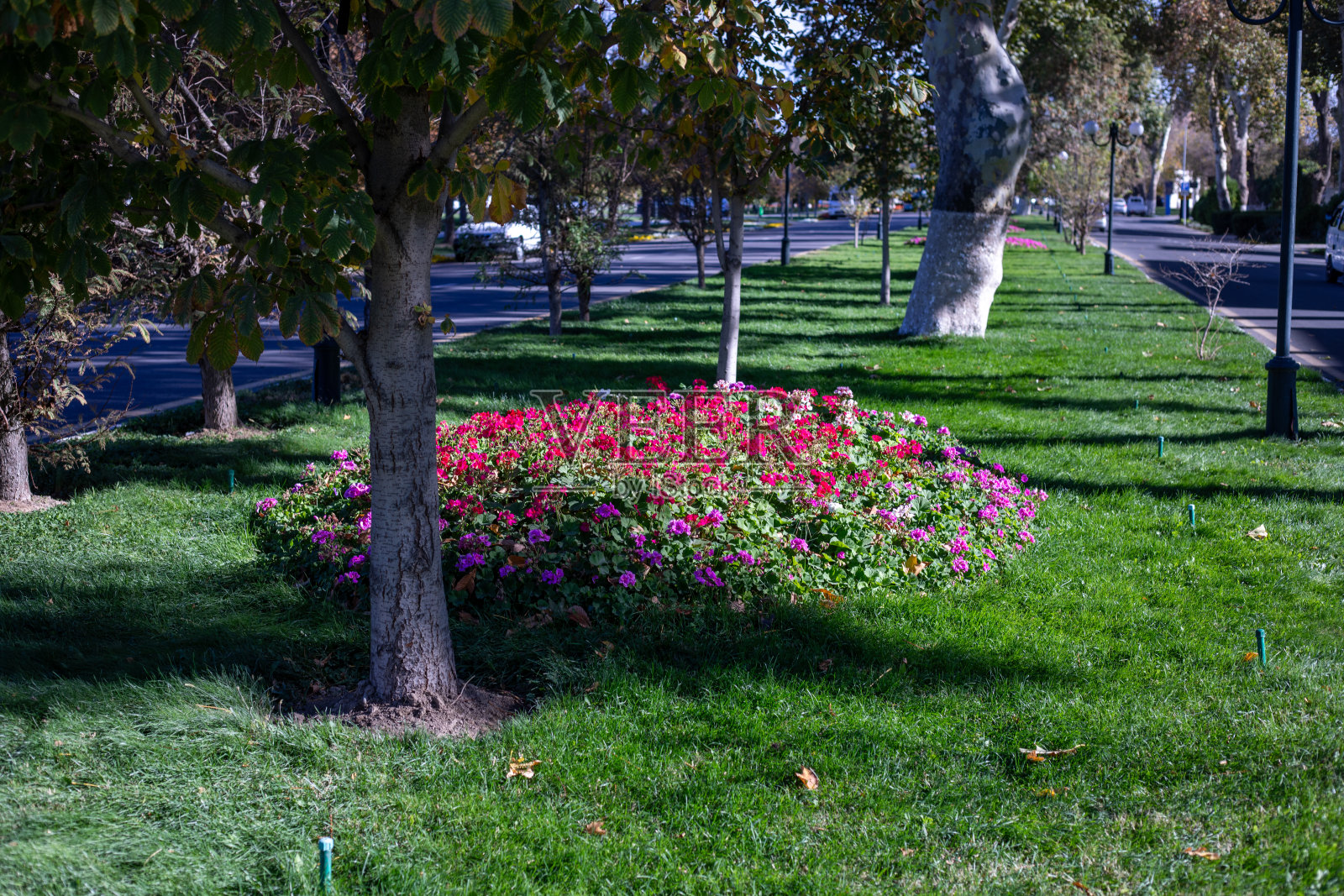 撒马尔罕照片摄影图片