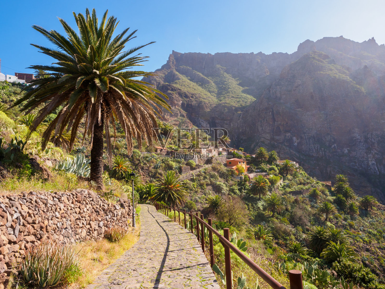 Mazca照片摄影图片
