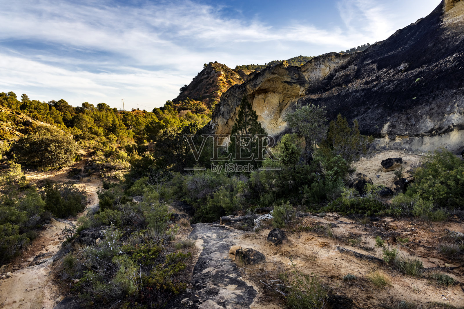 巴兰科斯·恩·奇亚隆·德尔·雷伊照片摄影图片