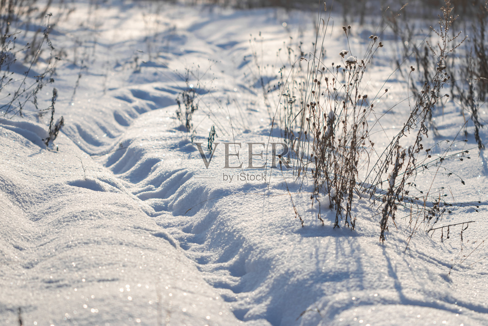 冬天森林里的小路照片摄影图片