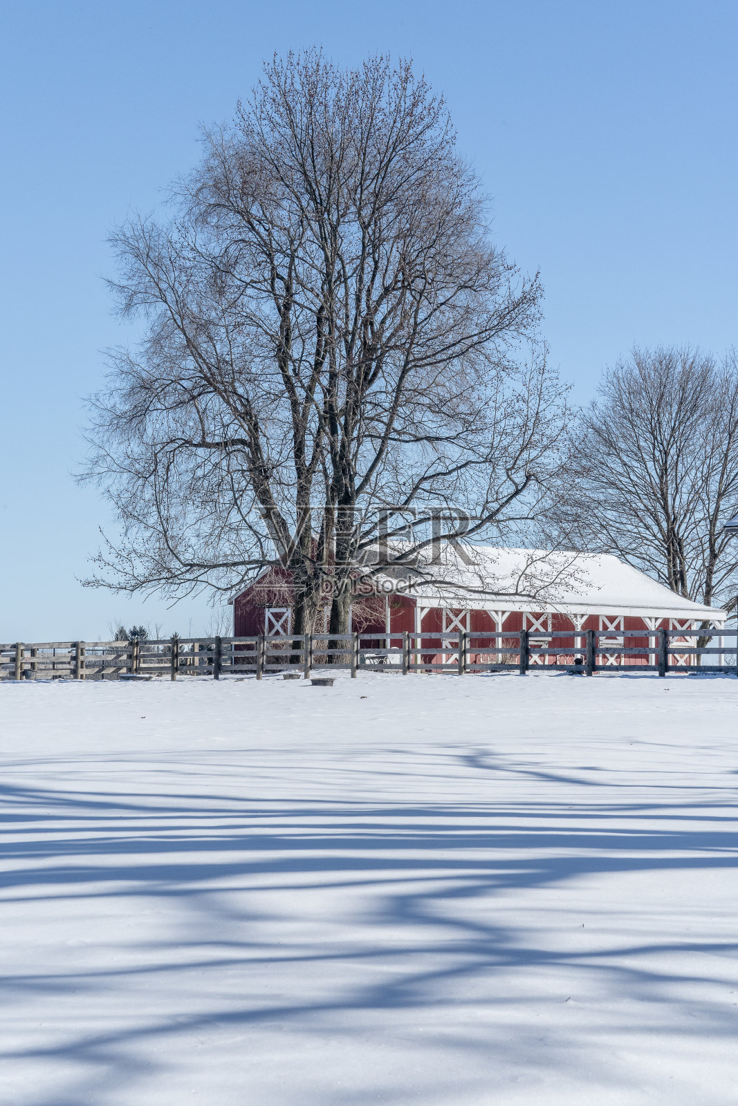冬季雪景照片摄影图片