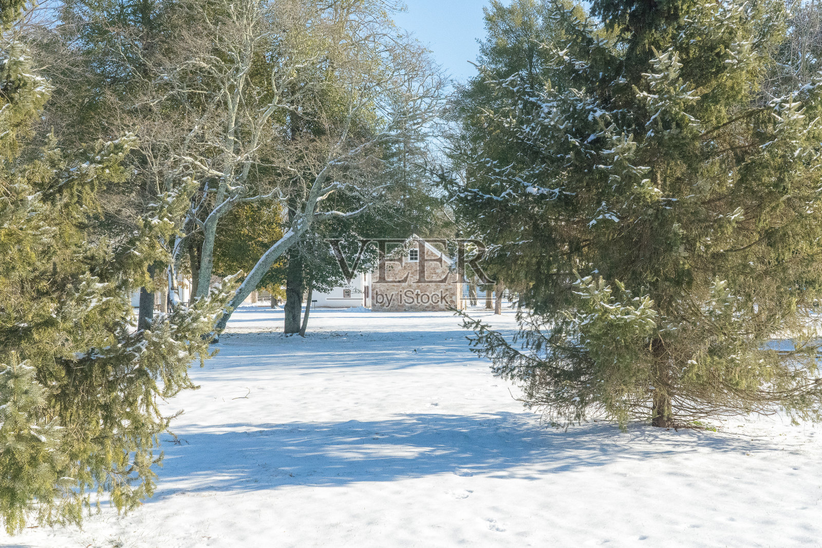 冬季雪景照片摄影图片