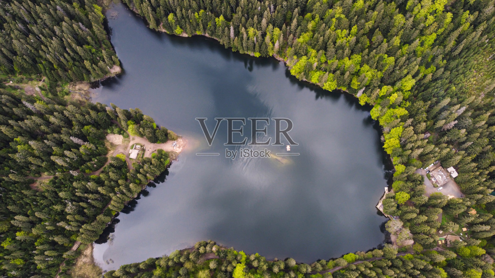 高山湖泊。Synevyr。喀尔巴阡山脉。乌克兰。欧洲照片摄影图片