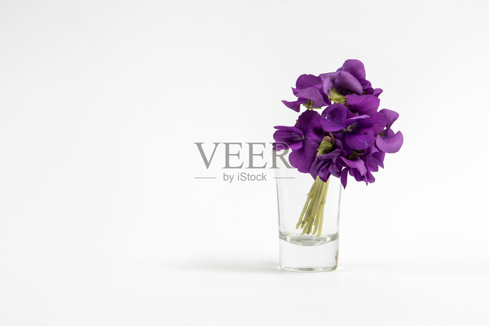 紫罗兰花束在白色背景的小玻璃杯里照片摄影图片