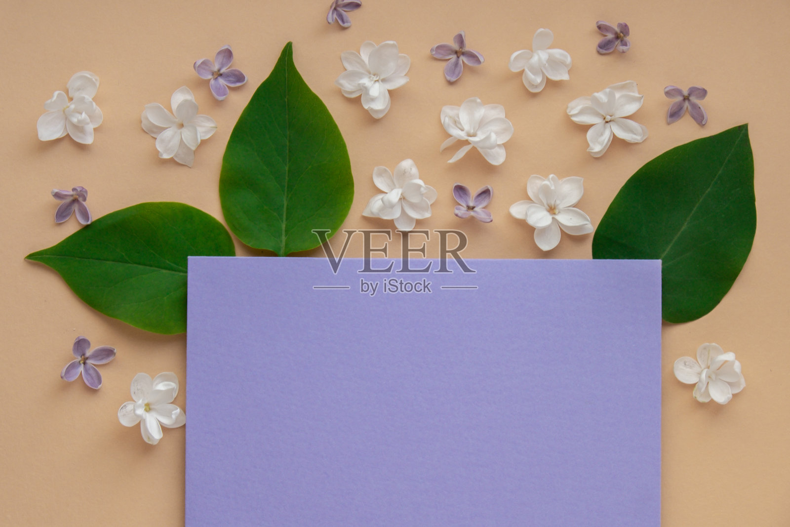 构图与空信封和美丽的春天丁香花在米色的背景。样板卡邀请贺卡明信片复制空间模板。枝头盛开的丁香花束。照片摄影图片