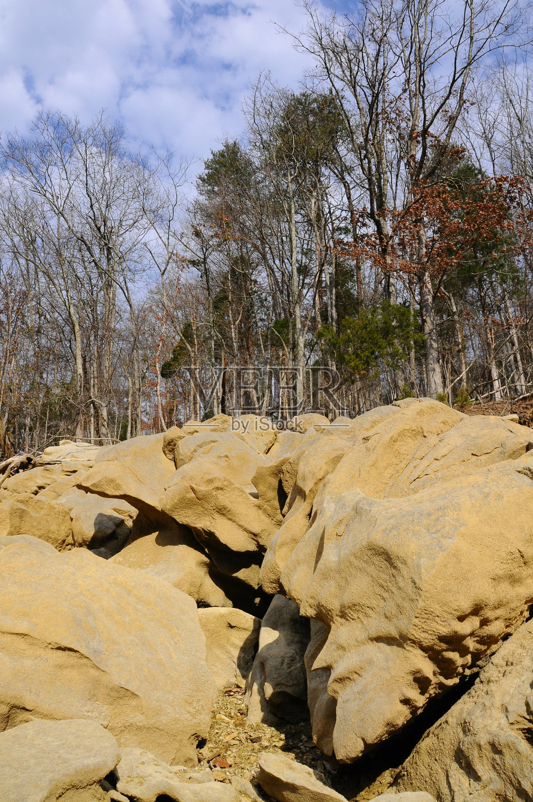 美国田纳西州森林湖岸上的分层石头照片摄影图片