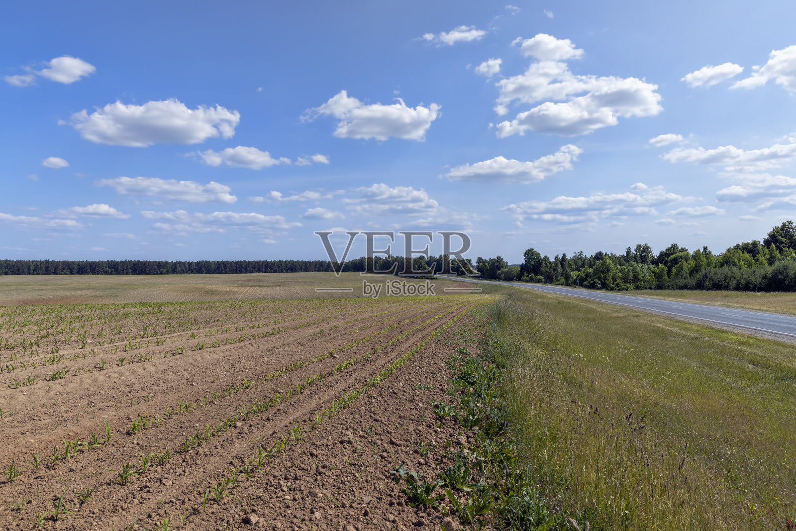 一路铺就的道路和蔚蓝的天空照片摄影图片