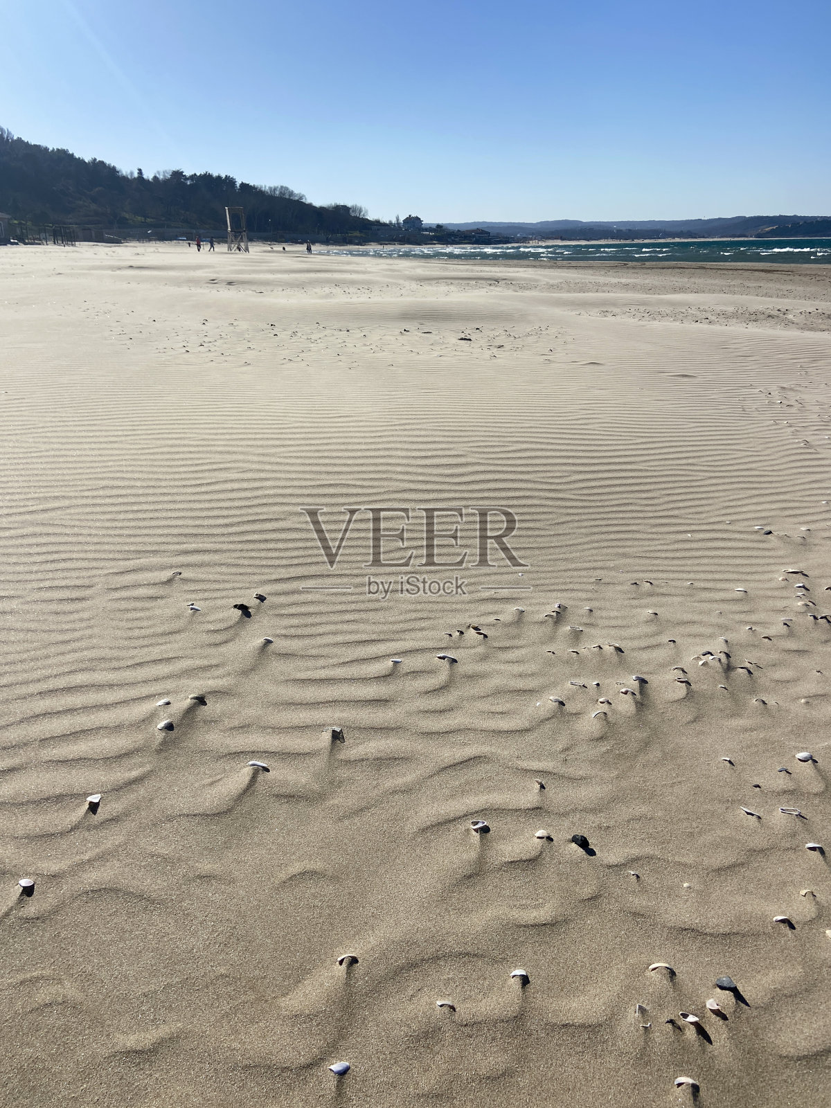 海滩的背景照片摄影图片