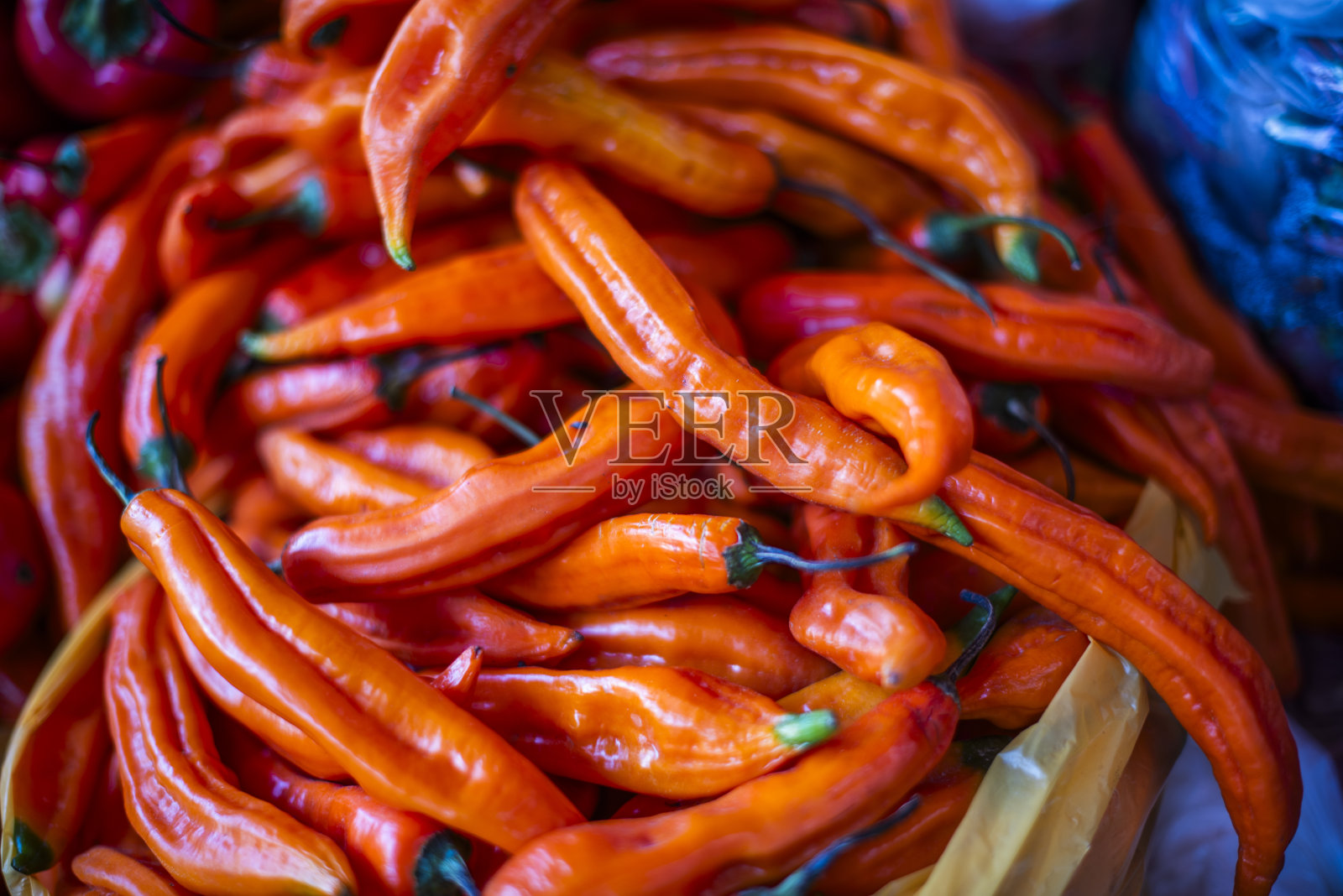 2023 8 15秘鲁辣椒照片摄影图片