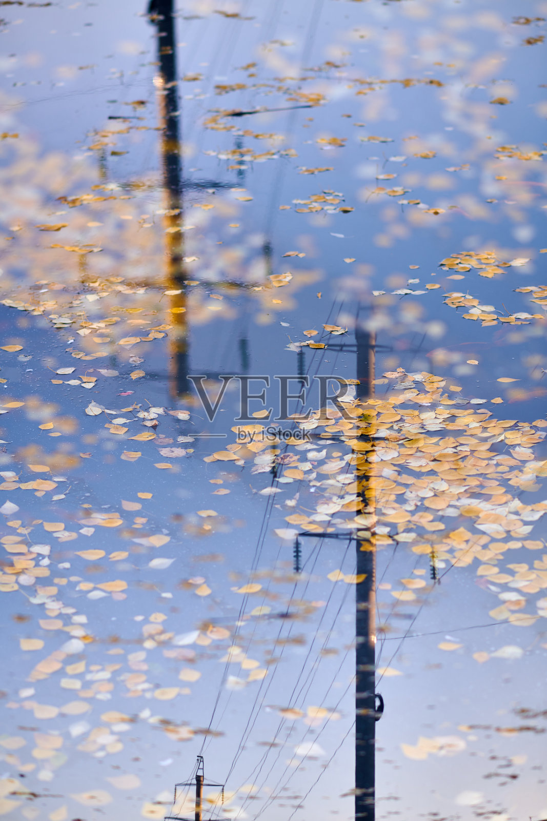 电源线支架照片摄影图片