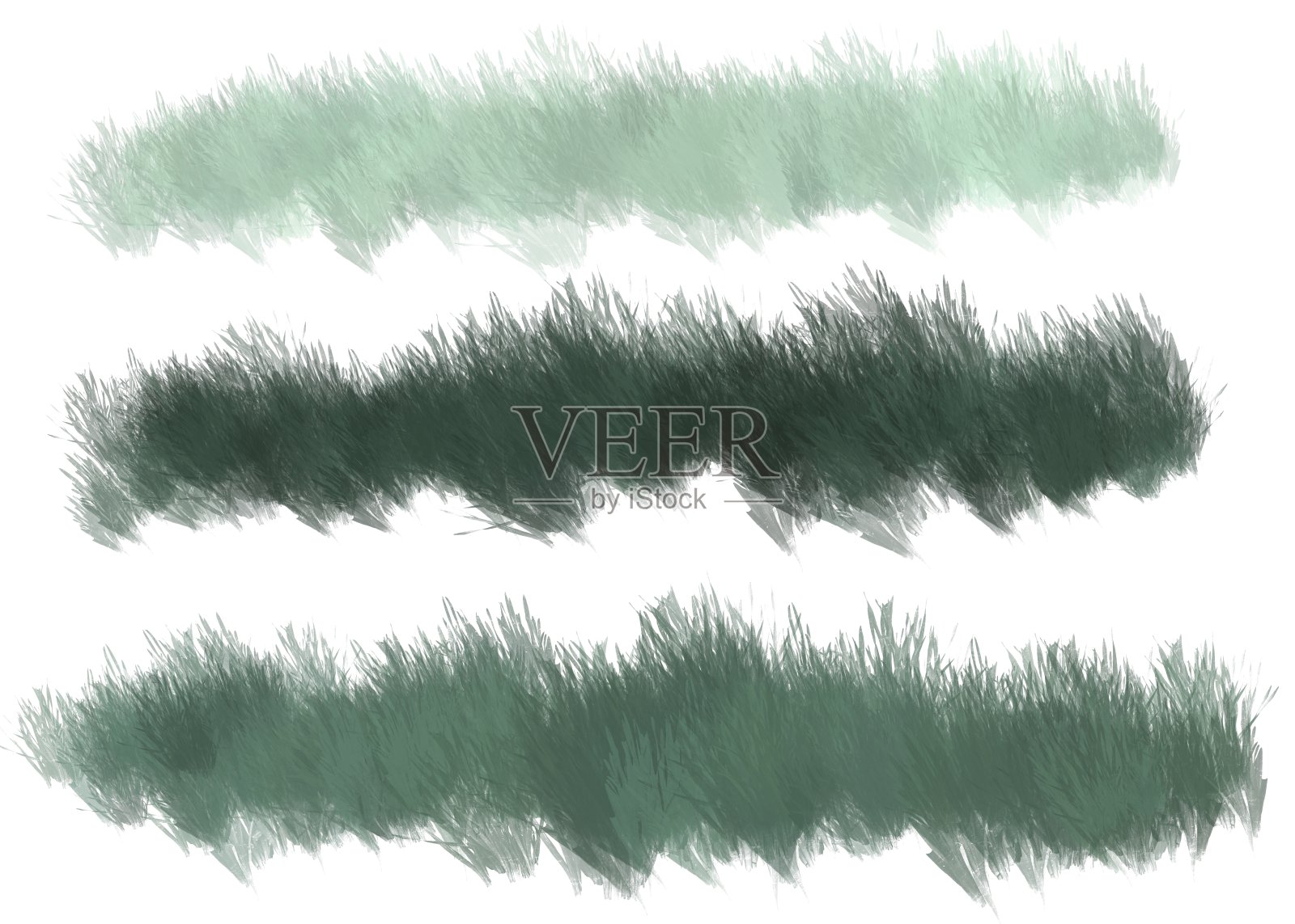 草，设置在不同颜色的草在一个白色的背景照片摄影图片