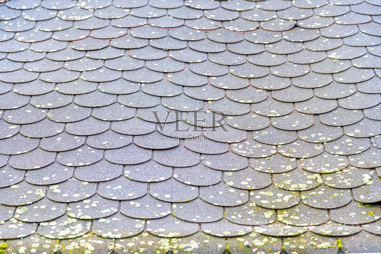 老房子的屋顶上长满了青苔。长满青苔的屋顶。照片摄影图片