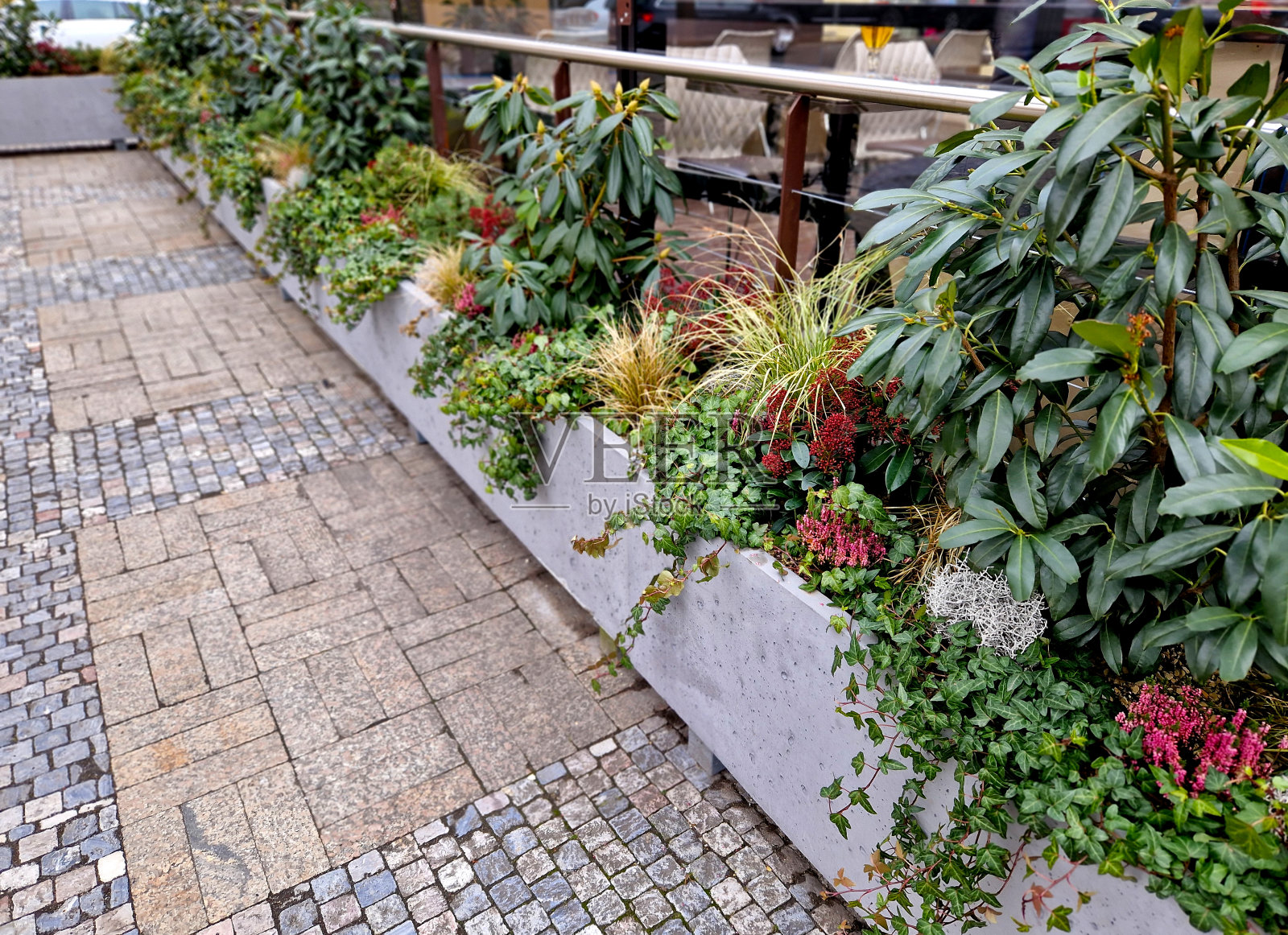 街边露台旁的纤维石。常绿灌木和花的结合体杜鹃花，萱草，红石南花。观赏草和樱月桂即使在冬天也很美丽，照片摄影图片